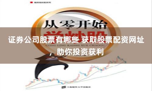 证券公司股票有哪些 获取股票配资网址，助你投资获利