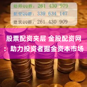 股票配资夹层 金股配资网：助力投资者掘金资本市场